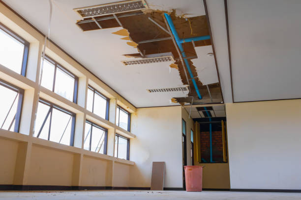 Best Flood damage cleanup  in Centerville, GA