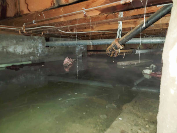 Best Local water damage restoration  in Centerville, GA