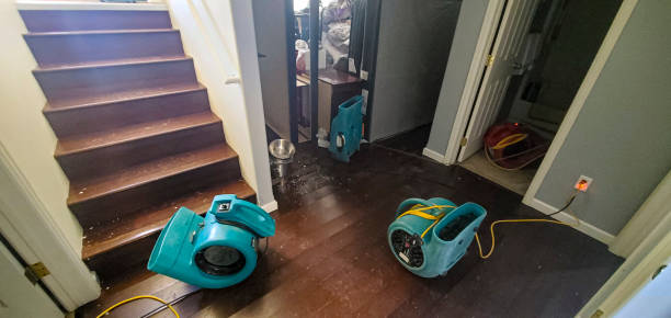 Best Local water damage restoration  in Centerville, GA