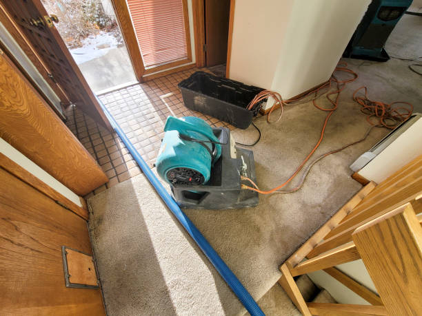 Best Sewage cleanup and water damage restoration  in Centerville, GA