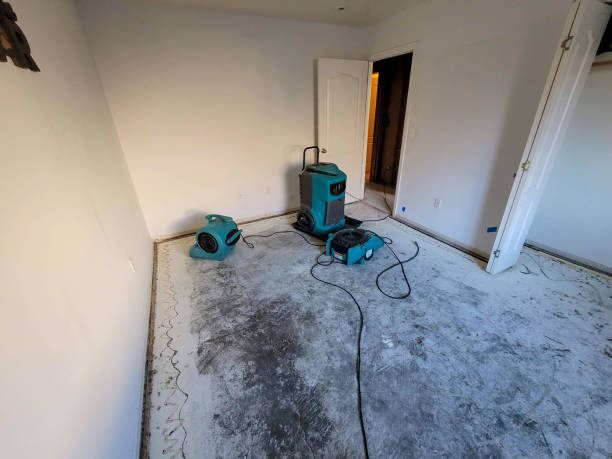 Best 24/7 water damage repair  in Centerville, GA