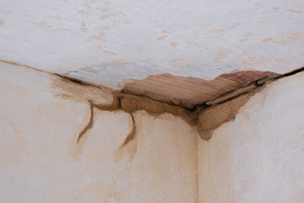Best Commercial water damage restoration  in Centerville, GA