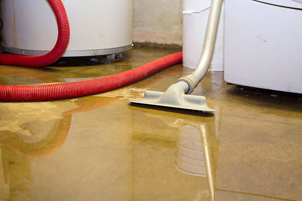 Best Professional water damage repair  in Centerville, GA