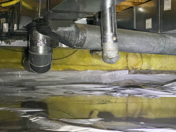 Best Mold removal after water damage  in Centerville, GA
