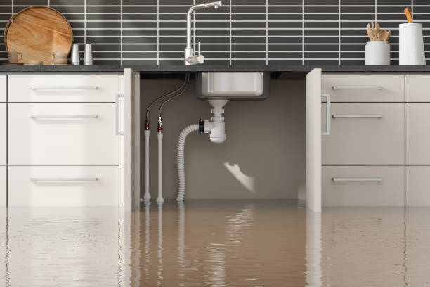 Best Water damage contractors near me  in Centerville, GA